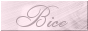 Bices Homepage